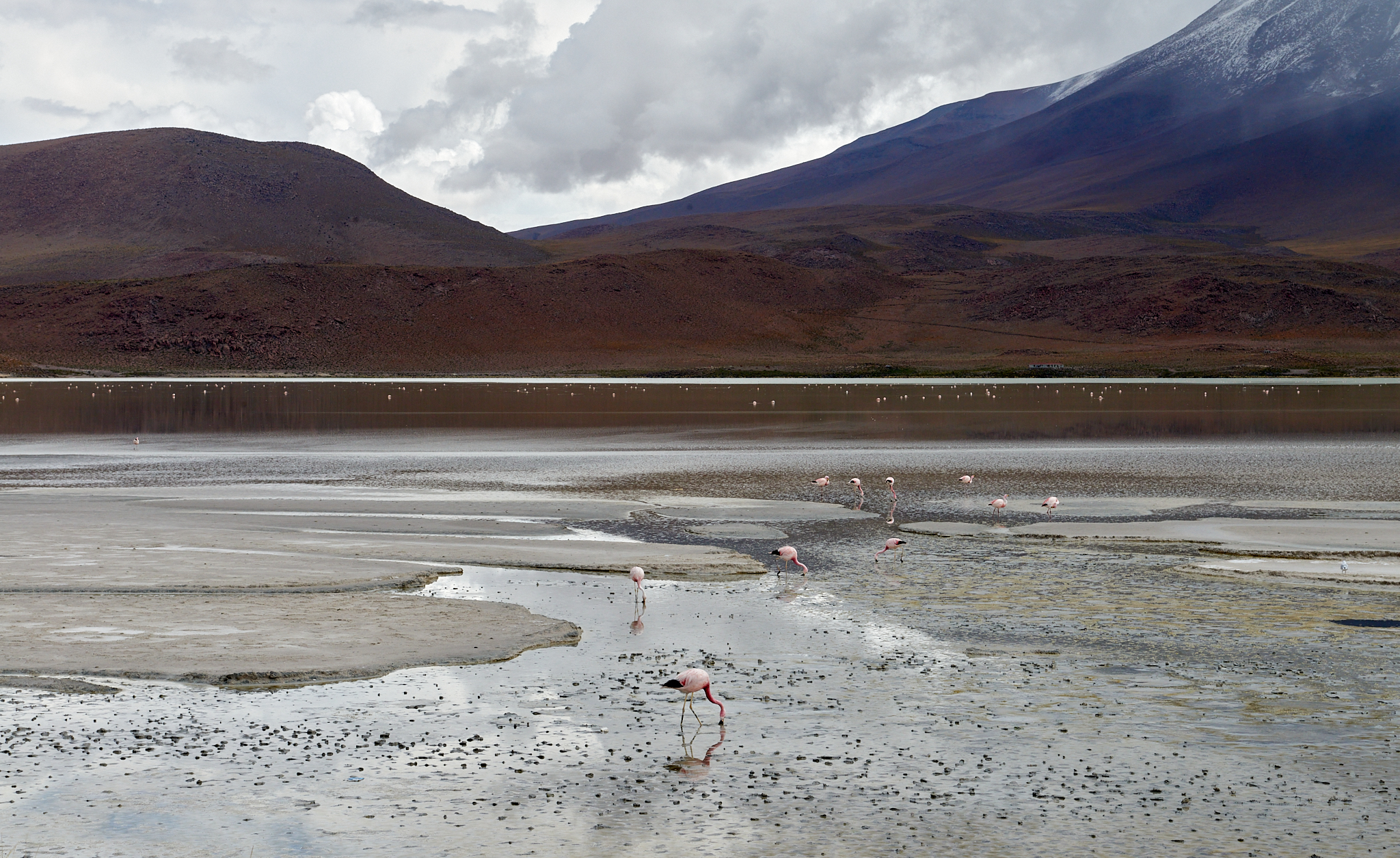 20200313 475 [볼리비아] 온다 호수